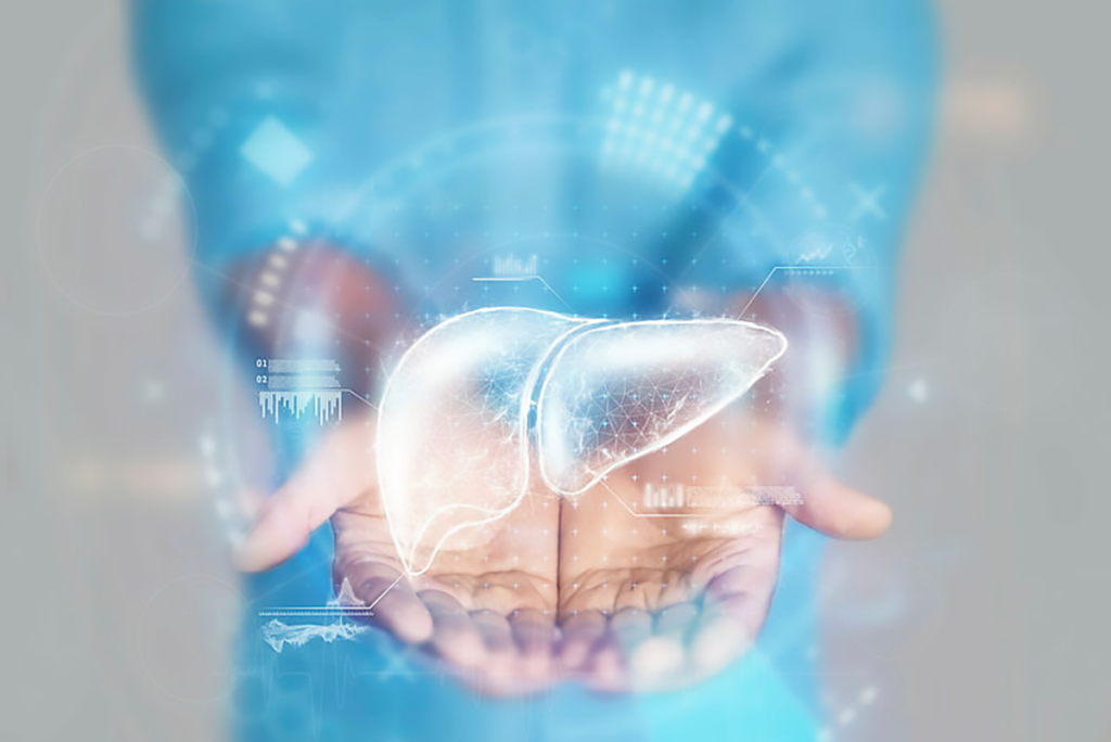 Medical concept, doctor's hands in a blue coat close-up. Ultrasound of the liver, x-ray, hologram. Medical care, anatomy, doctor's appointment, liver transplant. mixed media.
