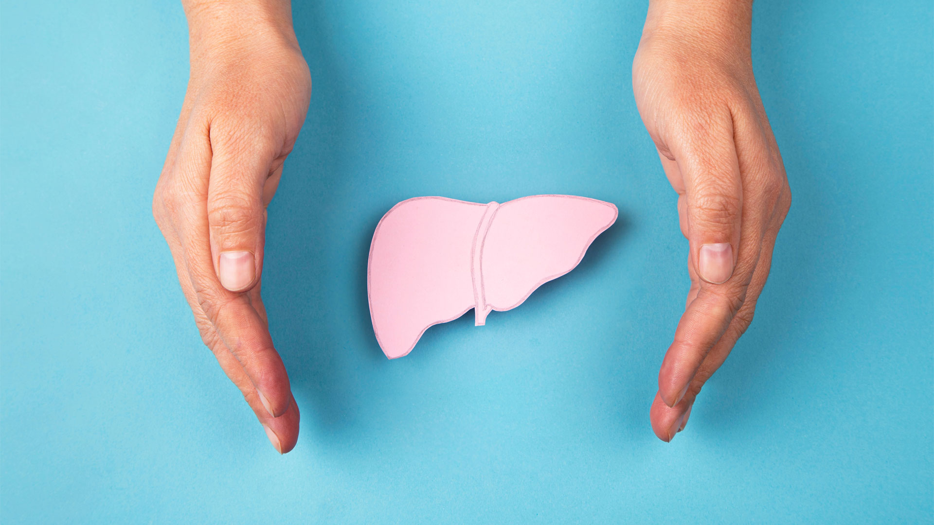 Two hands around a pink liver model on a blue background, symbolizing liver health and protection.