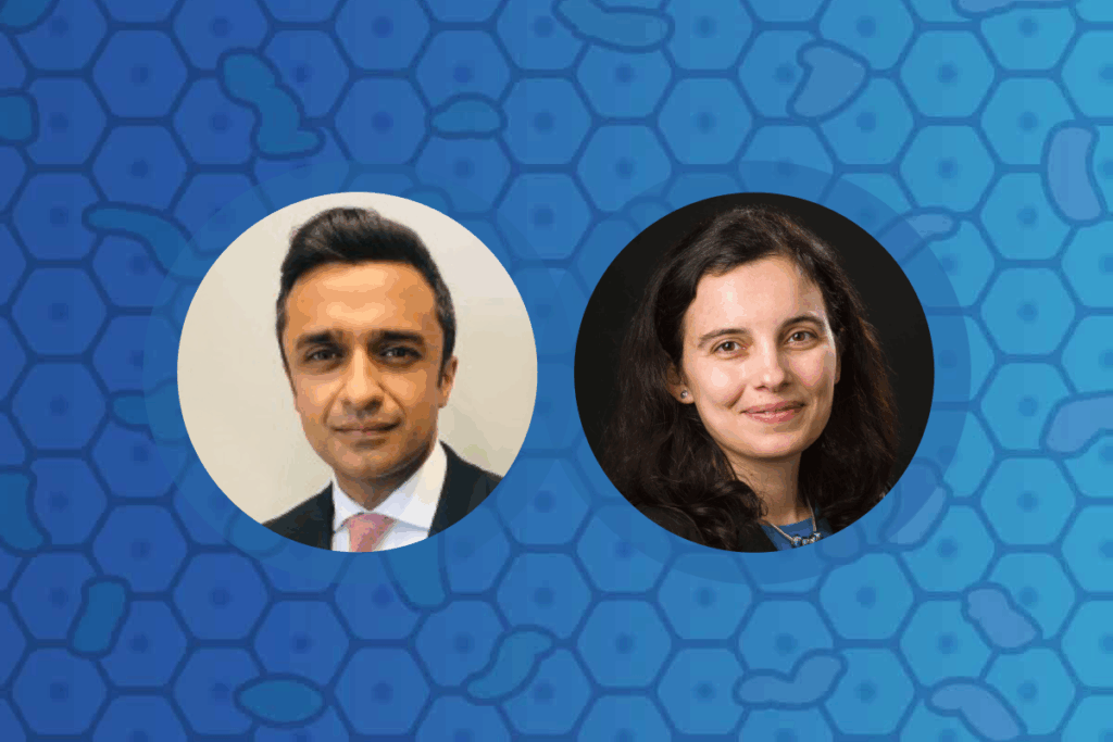 Dr Deepak Joshi and Dr Silvia Vilarinho