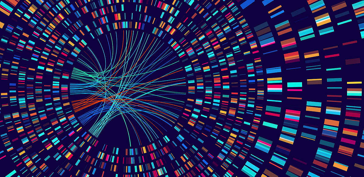 Circular Big Data Graph. DNA Test Infographic Circle. Genome Sequence Map. Chromosome Architecture Molecule Sequencing Chart. Genetic Science Technology Concept. Vector Illustration Background.